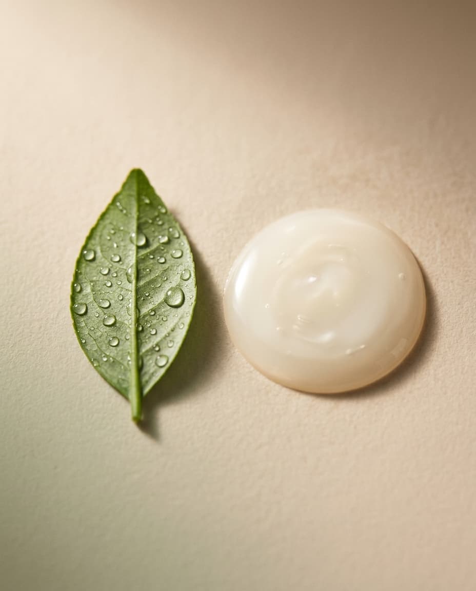 A dew-covered botanical leaf beside a pool of cream serum on a neutral surface